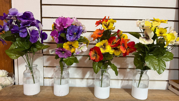 Pansy Bush- Multiple color options