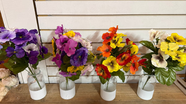 Pansy Bush- Multiple color options