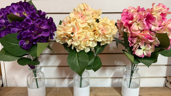 Hydrangea Bush- Multiple Color Options