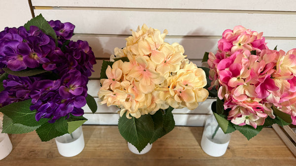 Hydrangea Bush- Multiple Color Options
