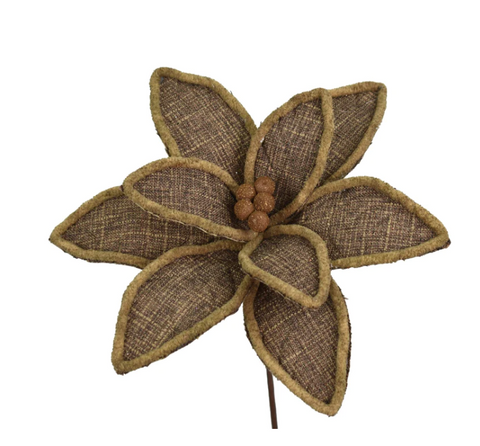 Brown Poinsettia