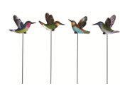 Hummingbird Pick