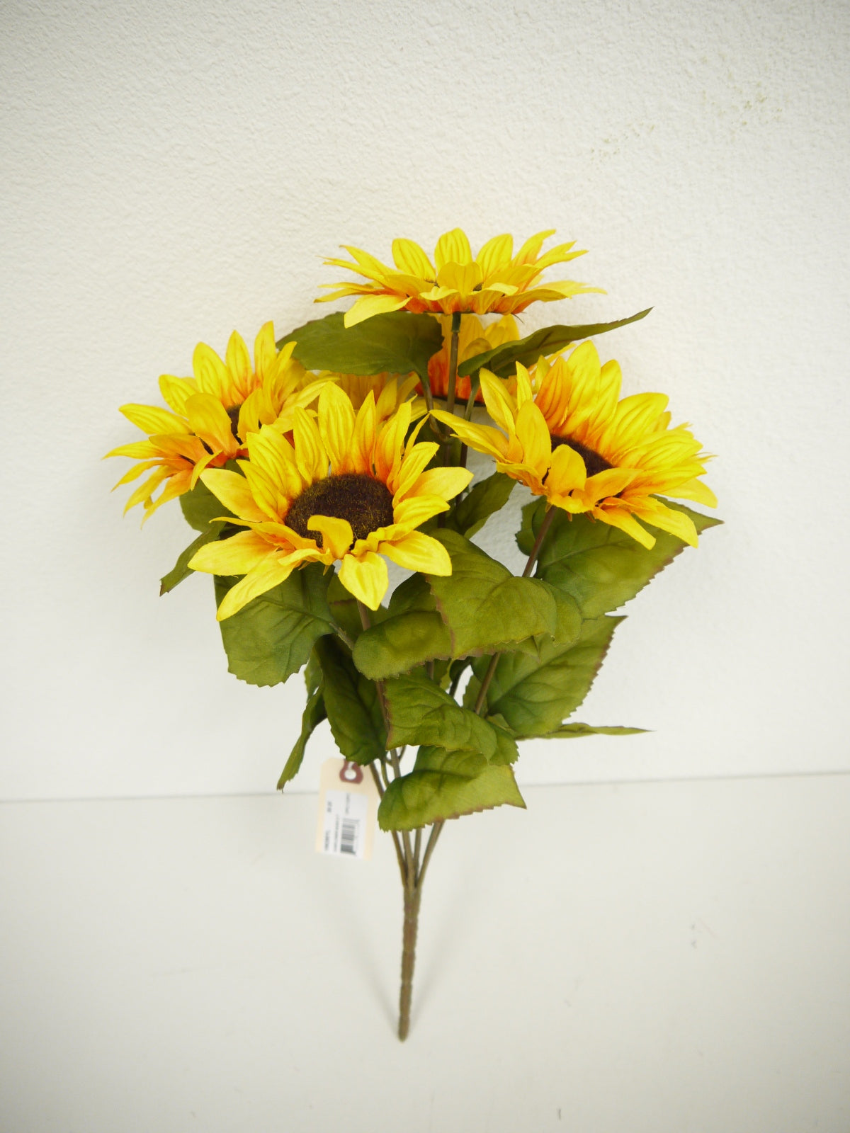 Sunflower Bush