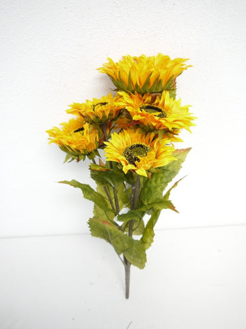 Sunflower Bush