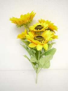 Light Sunflower Bush