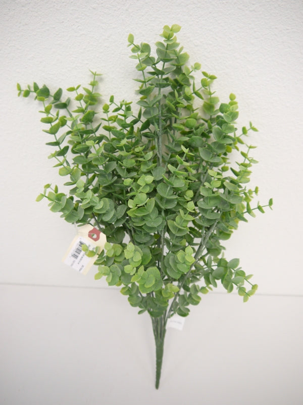 Eucalyptus Bush