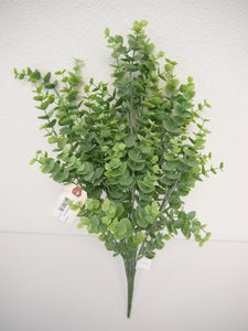 Eucalyptus Bush