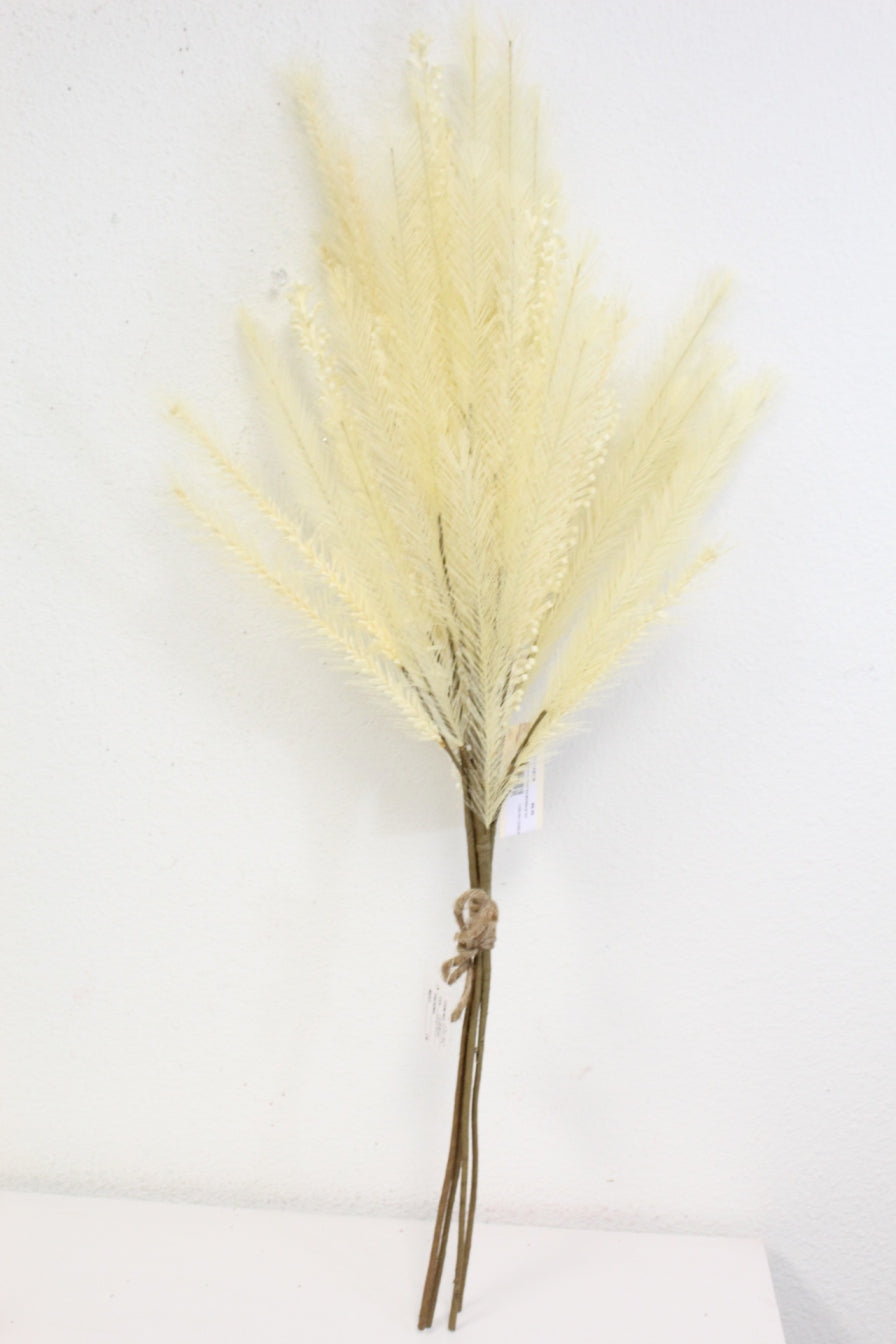 Pampas Spray
