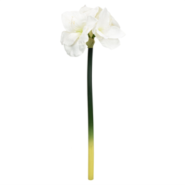 Amaryllis Spray