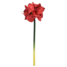 Amaryllis Spray