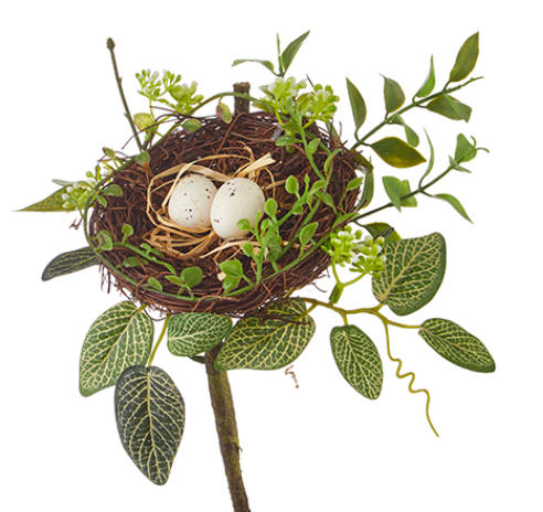 Bird Nest with Eggs