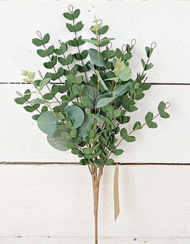 Eucalyptus Bush