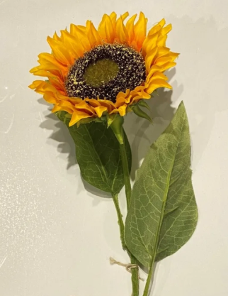 Sunflower Stem