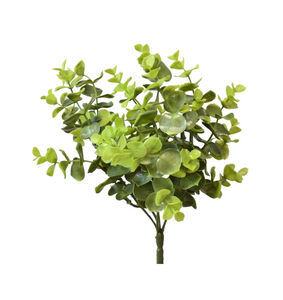Eucalyptus Bush