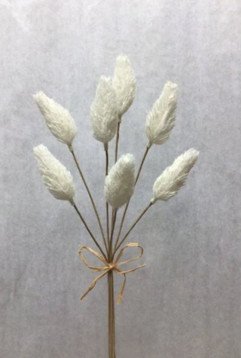 Amaranth Pick Bundle